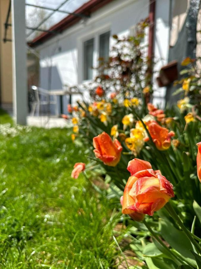 Apartmani Emily & Jully Niksic Ngoại thất bức ảnh